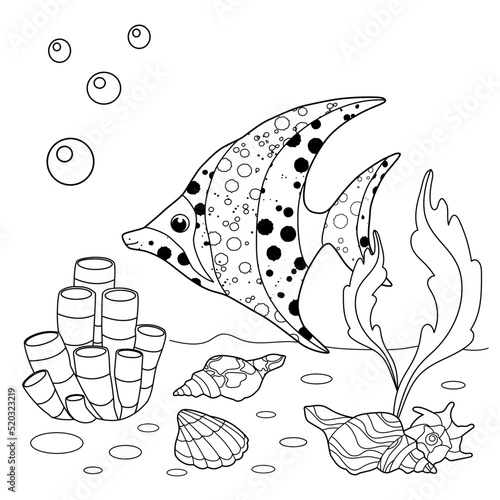 Vector illustration with algae and fish, sea floor. . Black lines, sketch on a white background.