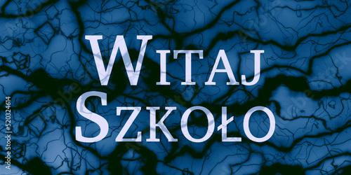 Napis Witaj szkoło