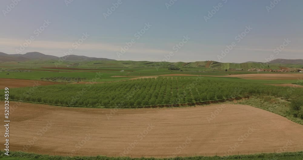 Aerial drone video of famous Santorini island vineyards, Cyclades, Greece
