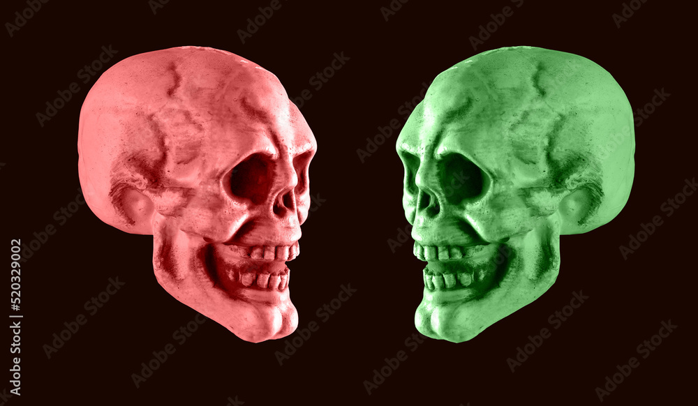 Pink and green skulls on black background. Halloween holiday or human duality concept. Contrast concept. Opposites. High quality photo Pink and green skulls on black background. Halloween holiday or human duality concept. Contrast concept. Opposites. High quality photo