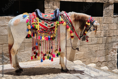 Fototapeta Naklejka Na Ścianę i Meble -  a colorful in the market, street in narrow streets in Mardin. White horse colorful ornament on it.