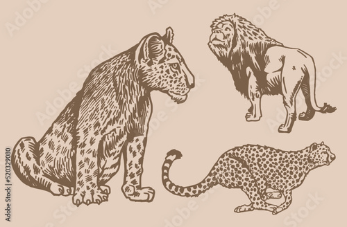 Sticker Graphical wild cats, lion,lioness and puma running on sepia background,vector vi