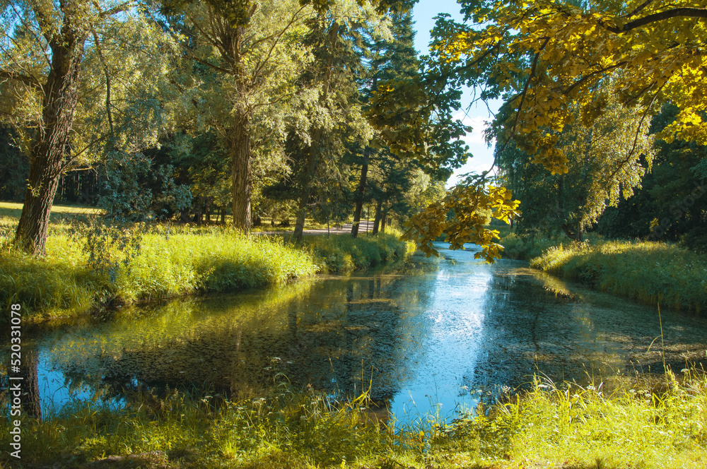 Forest with beautiful bright autumn trees and grass on the river bank Forest with beautiful bright autumn trees and grass on the river bank