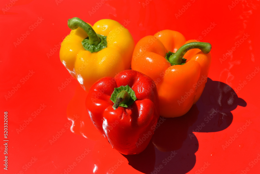 Fresh ripe bell peppers on a red, shiny surface Fresh ripe bell peppers on a red, shiny surface