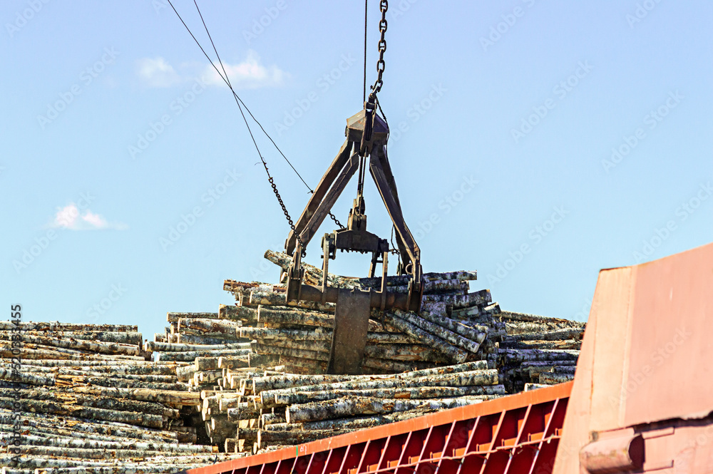 unloading a barge with logs using a crane