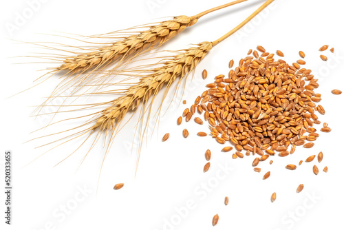Grain and ears of wheat isolated on white background. Top view