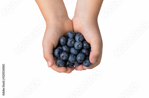 Blueberryis a berry native to North America, a source of vitamins and antioxidants.