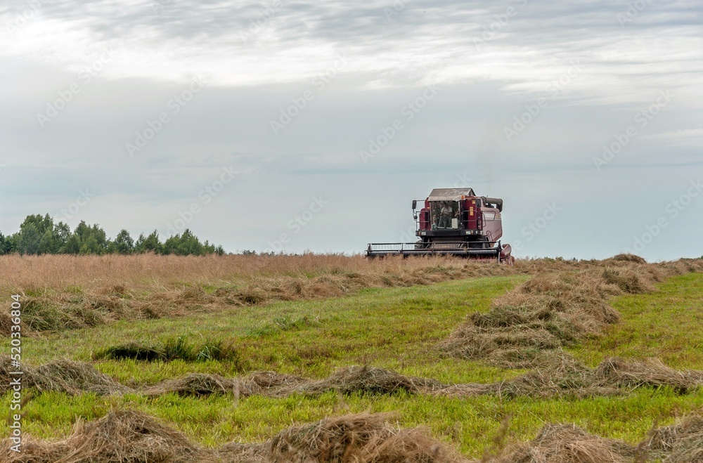 The harvester mows the grass during the haymaking period The harvester mows the grass during the haymaking period
