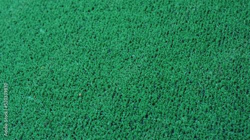 Green carpet texture (ID: 520339830)