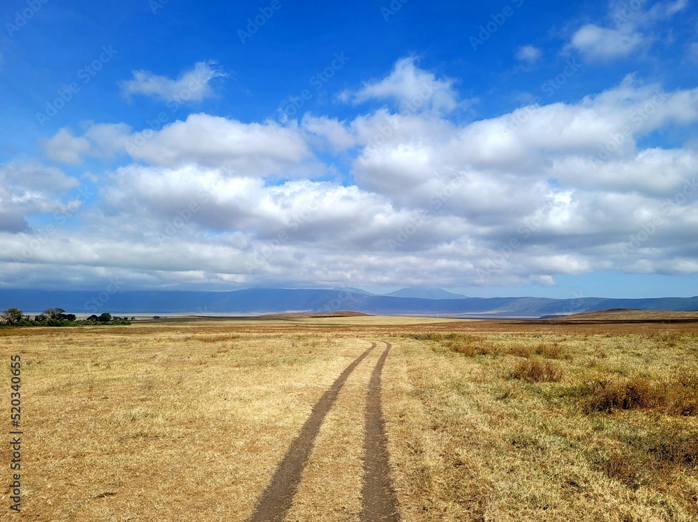 Obraz premium road to the sky