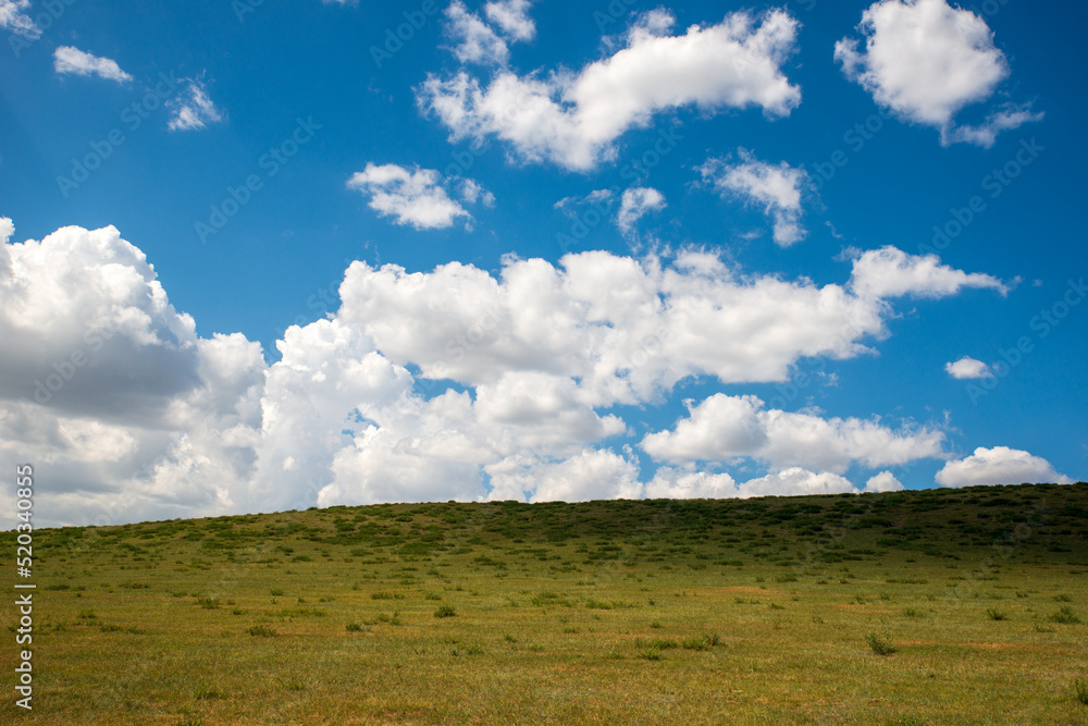 The prairie under the blue sky and white clouds The prairie under the blue sky and white clouds