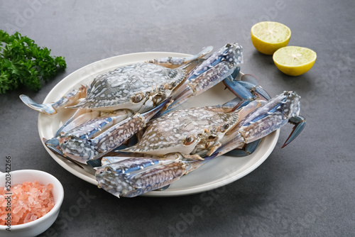 Fresh Blue Crab served on white plate on dark background. Close up
