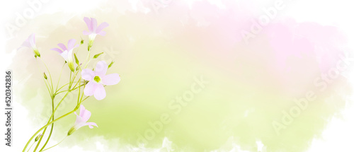 Pink field flowers on pastel watercolor background, wildflowers. Horizontal banner with copy space. Place for a text. Spring card