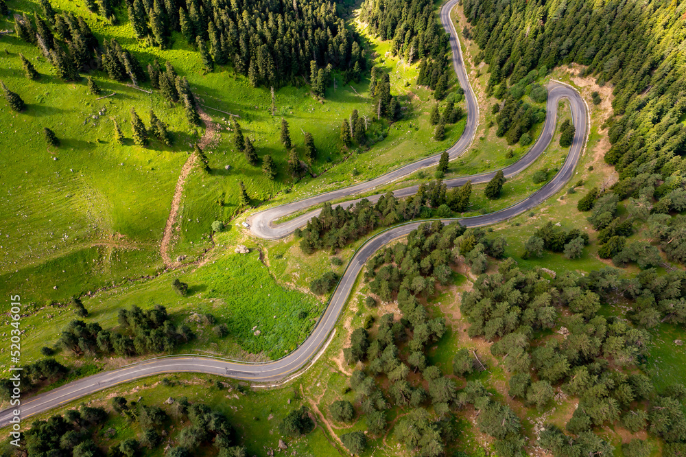Fototapeta premium curvy roads and unique forest scenery, Artvin, Turkey