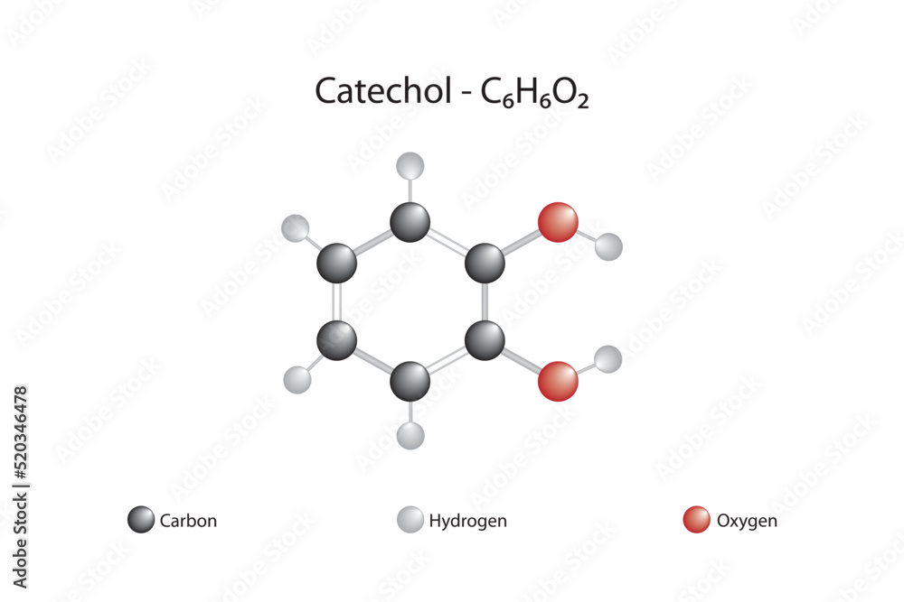 Molecular Formula And Chemical Structure Of Catechol Stock Vector 