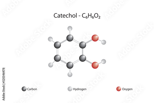 Molecular formula and chemical structure of catechol photo