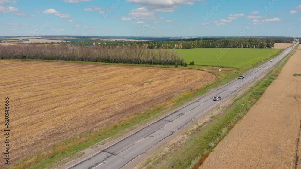 Country road. Field of grain crops. Provinces. In the country. Shooting from a drone. Sunny day. Green grass. Europe. Summer. Agriculture. Farm plantations. Agro. Country road. Field of grain crops. Provinces. In the country. Shooting from a drone. Sunny day. Green grass. Europe. Summer. Agriculture. Farm plantations. Agro.