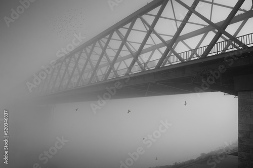 Steel bridge in the fog and flying birds