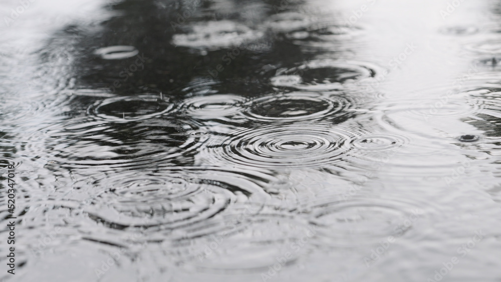 closeup of summer heavy rain drops falling into puddles on asphalt closeup of summer heavy rain drops falling into puddles on asphalt
