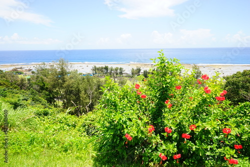 Red Hibiscus Flower on a Blue Ocean blurred background, Image of Southern Island - 日本 沖縄 赤 ハイビスカス 花 
