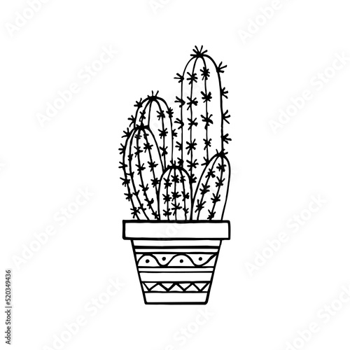 Doodle cactus in pot. Hand-drawn cereus. Hand drawn vector illustration