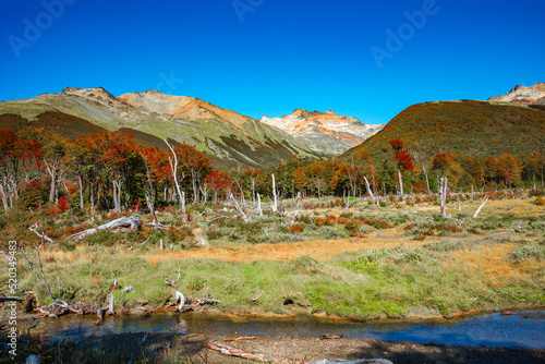 Hiking trail to the Esmeralda lake through magical colorful austral forests, peat bogs, dead trees, glacial streams and high Andes mountains in Tierra del Fuego National Park, Patagonia, Argentina. © neurobite