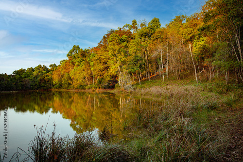Sunrise in the forest at Loei Province, Thailand.