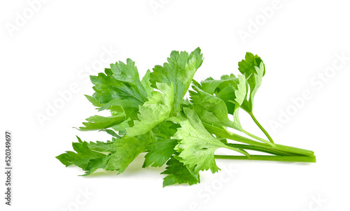 fresh Celery isolated on white background