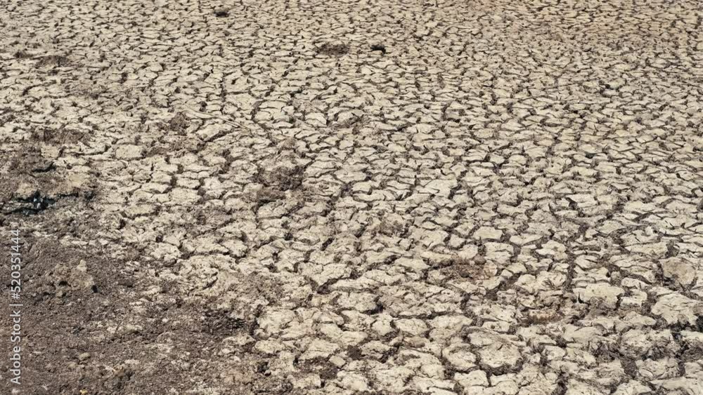 Video background of drought in summer in warm weather on bottom of the lake. Video background of drought in summer in warm weather on bottom of the lake.