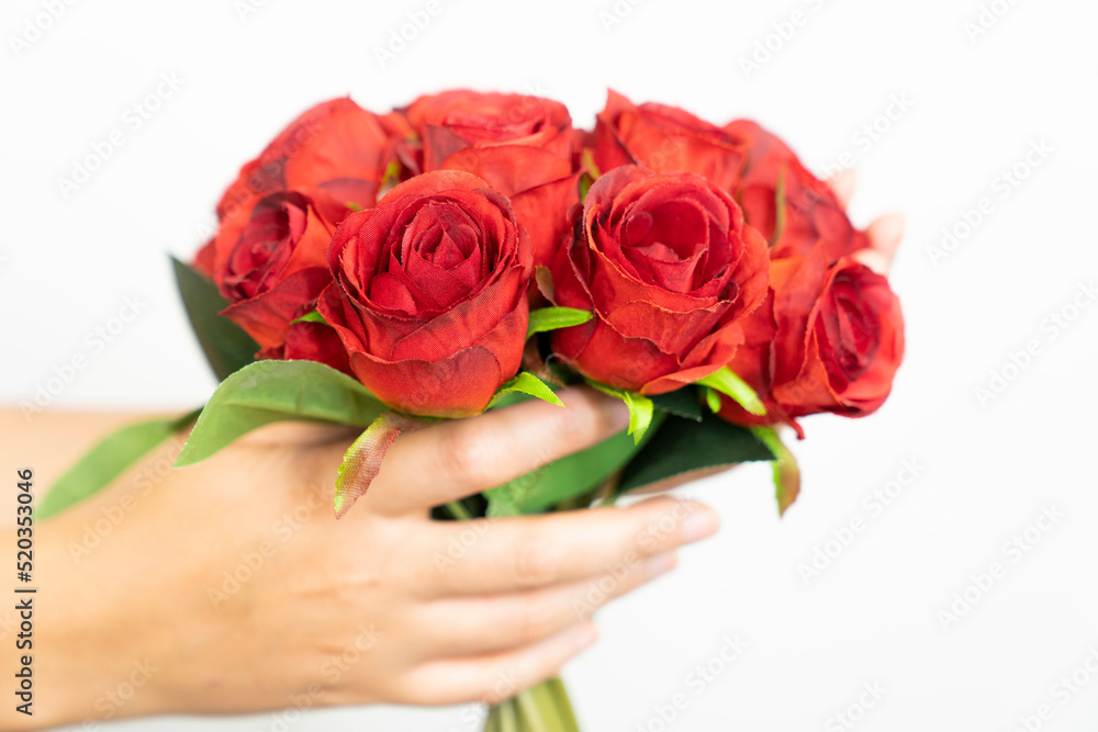 Hands holding bouquet of red roses on white background for gift. Gift for lovers and Valentine. Hands holding bouquet of red roses on white background for gift. Gift for lovers and Valentine.