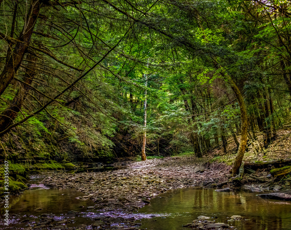 Obraz premium Very low water levels due to a summer-long drought in Windsor in Upstate NY make it possible to walk further upstream in Sage Creek. Tranquil area that usually is under 2 feet of water.