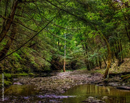 Very low water levels due to a summer-long drought in Windsor in Upstate NY make it possible to walk further upstream in Sage Creek.  Tranquil area that usually is under 2 feet of water. © Chet Wiker