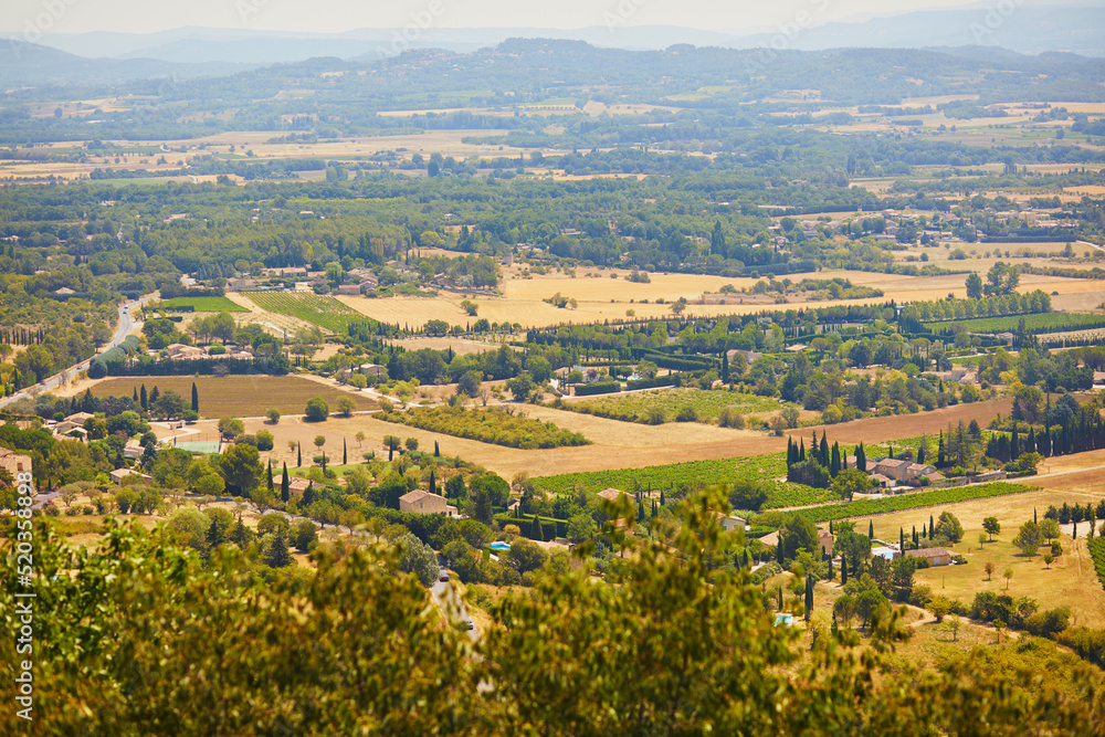Aerial Mediterranean landscape with cypresses, olive trees and vineyards in Provence, Southern France