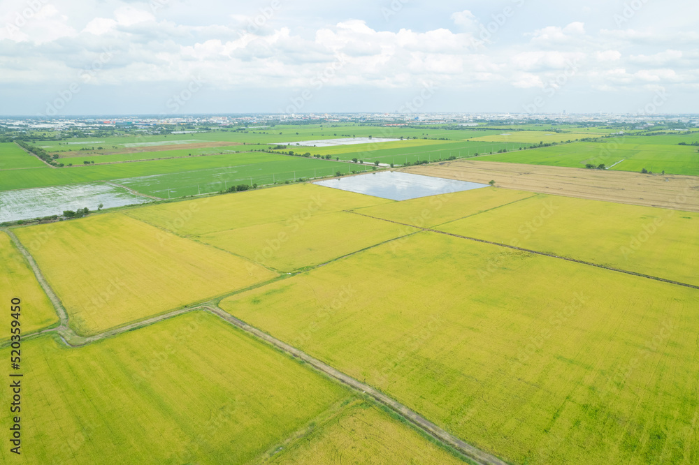 Fototapeta premium field background, top view landscape, nature