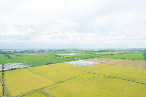 field background, top view landscape, nature