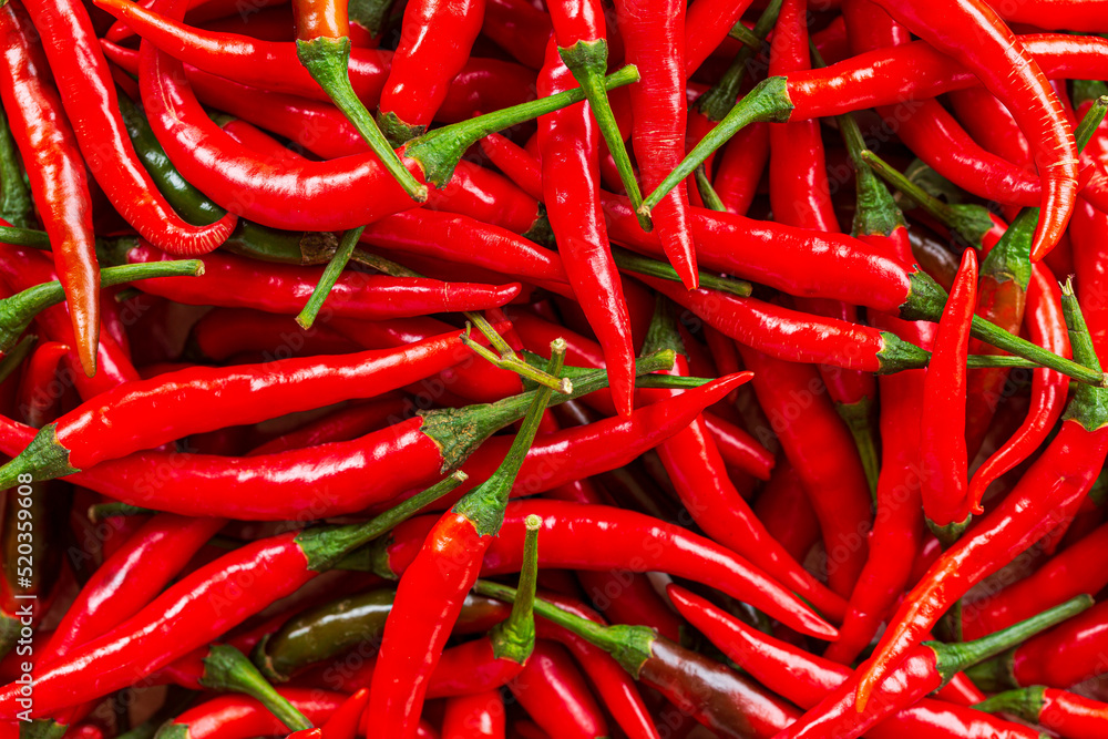 macro red chili,Red chili pepper background,Red hot chili peppers pattern Chili texture background. Close up landscape background of hot chili peppers. Roadside vegetable market. Red chili group.