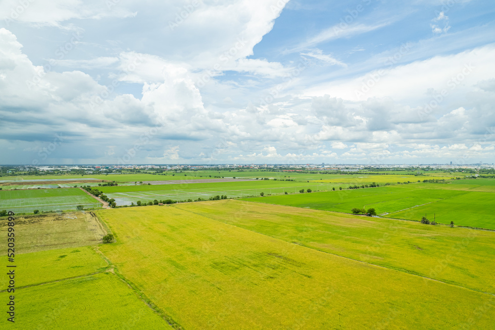 field background, top view landscape, nature field background, top view landscape, nature