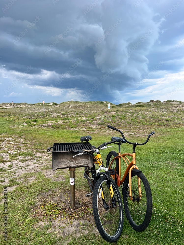 Fototapeta premium bicycle in the field