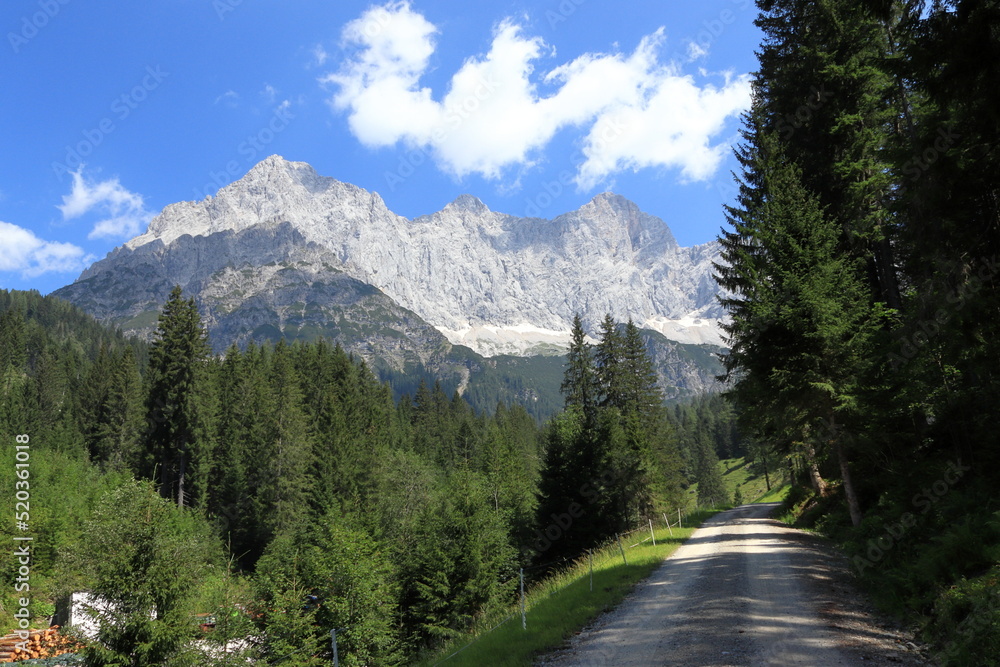 Path around the forest, view of the rocky peaks of the Alps. Stony road, green meadows and forests. The rocky Dachstein mountain range in the background. Summer sunny day. The Austrian Alps.