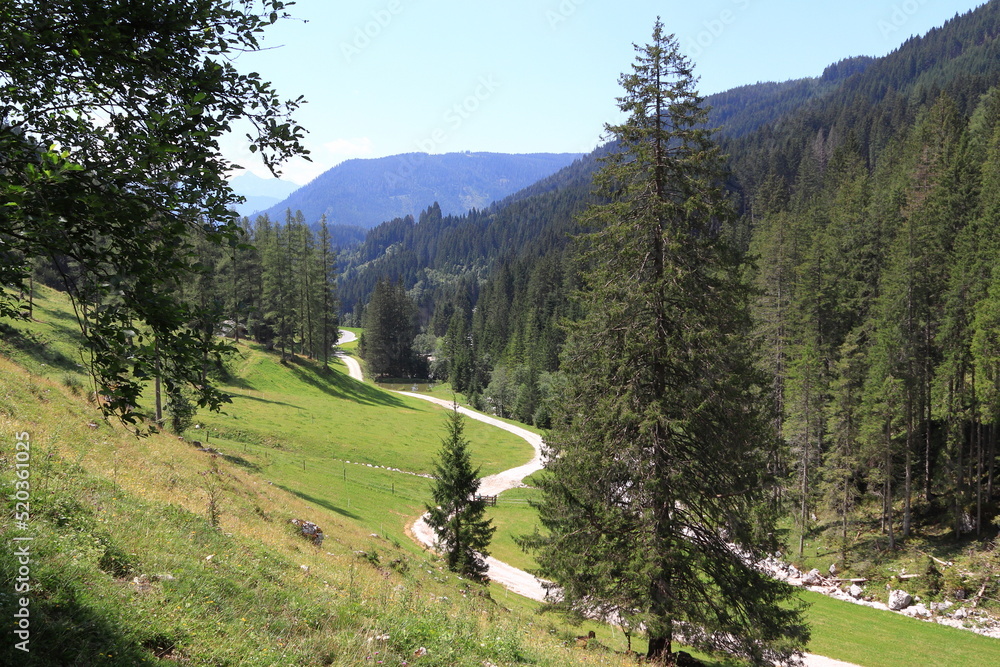 Winding road, view of wooded mountains. Path, green meadows, pastures and forests. Summer sunny day. The Austrian Alps. Winding road, view of wooded mountains. Path, green meadows, pastures and forests. Summer sunny day. The Austrian Alps.