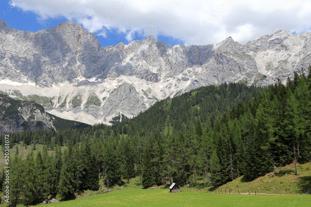 Pasture around the wooden shack. Forests, mountains and rocky peaks of the Alps below the Dachstein glacier.