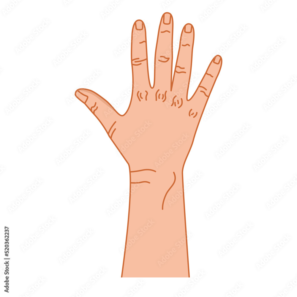 Fototapeta premium Hand gesture. Hand. Vector. Color graphics. Sign with the fingers. Intercultural communication. Emotions. Linear drawing. White background.