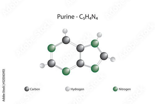 Molecular formula and chemical structure of purine photo