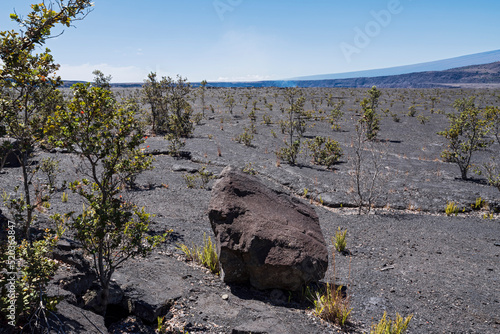 lava plain of kilauea iki and halemaumau on horizon at hawaii volcanoes national park photo