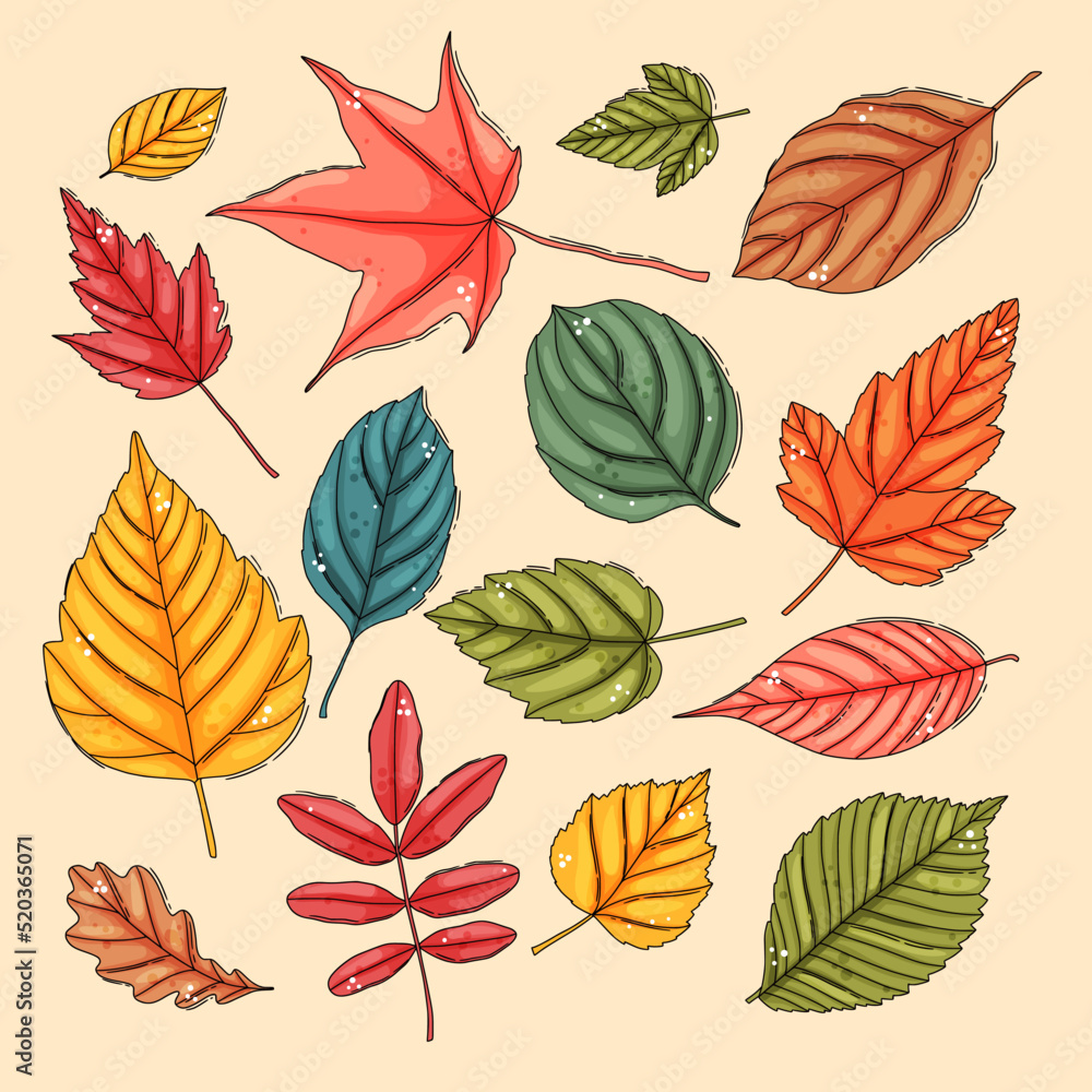 Fototapeta premium Autumn leaf set. Coloured tree leaves