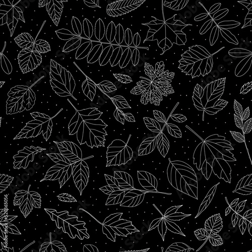 Autumn leaf seamless pattern. Black and white tree leaves print