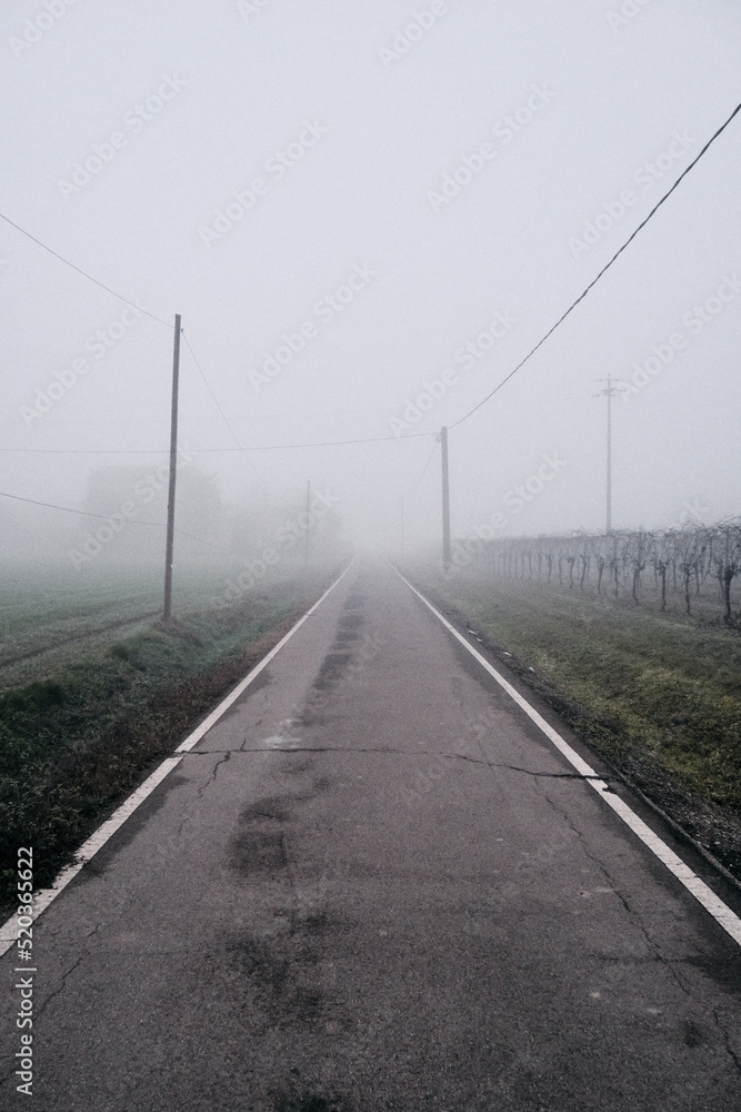 Street Fog