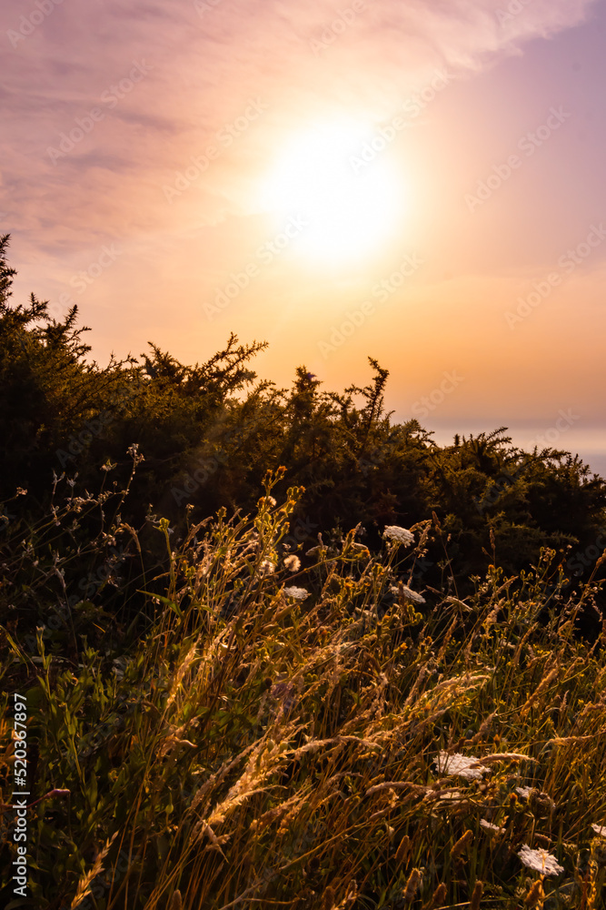 Obraz premium Atardecer