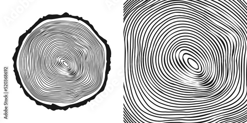 Round tree trunk cut, sawn pine or oak slice. Saw cut timber, wood. Wooden texture with tree rings. Hand drawn sketch. Vector illustration