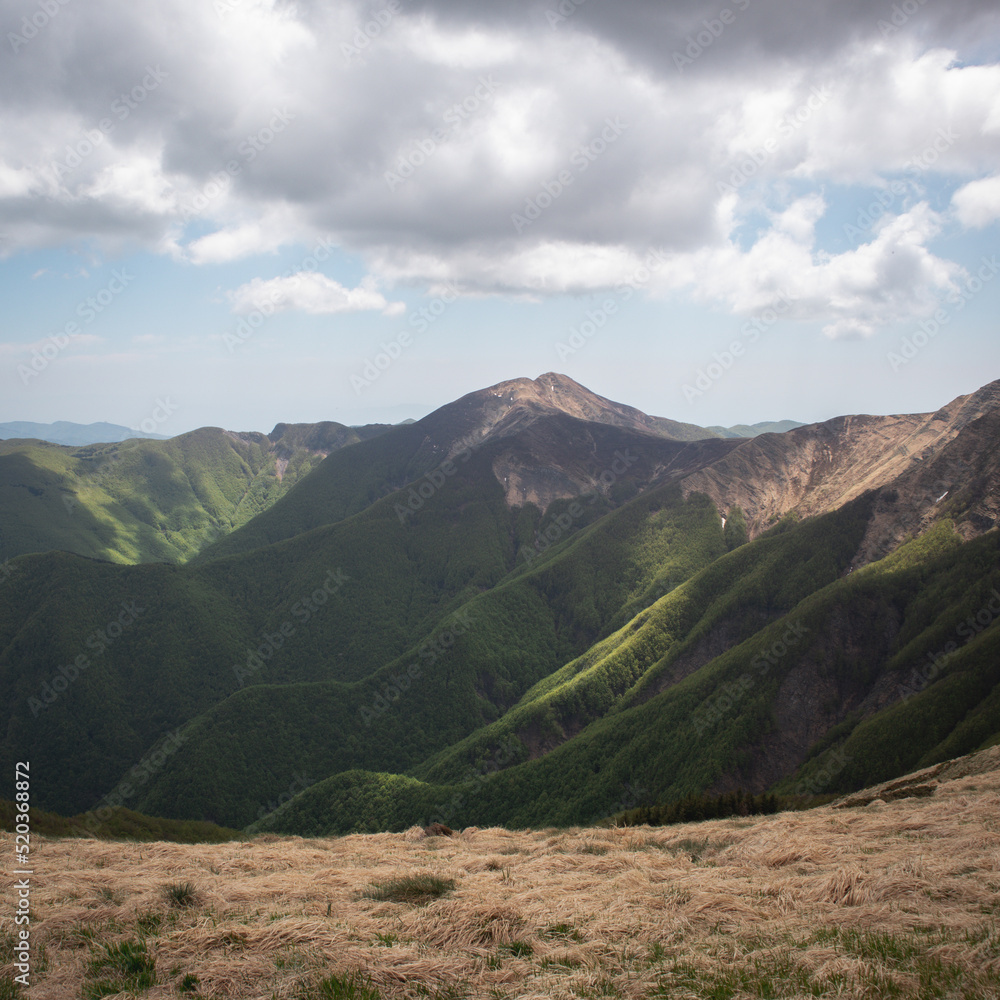 Nature of the italian alps in spring Nature of the italian alps in spring